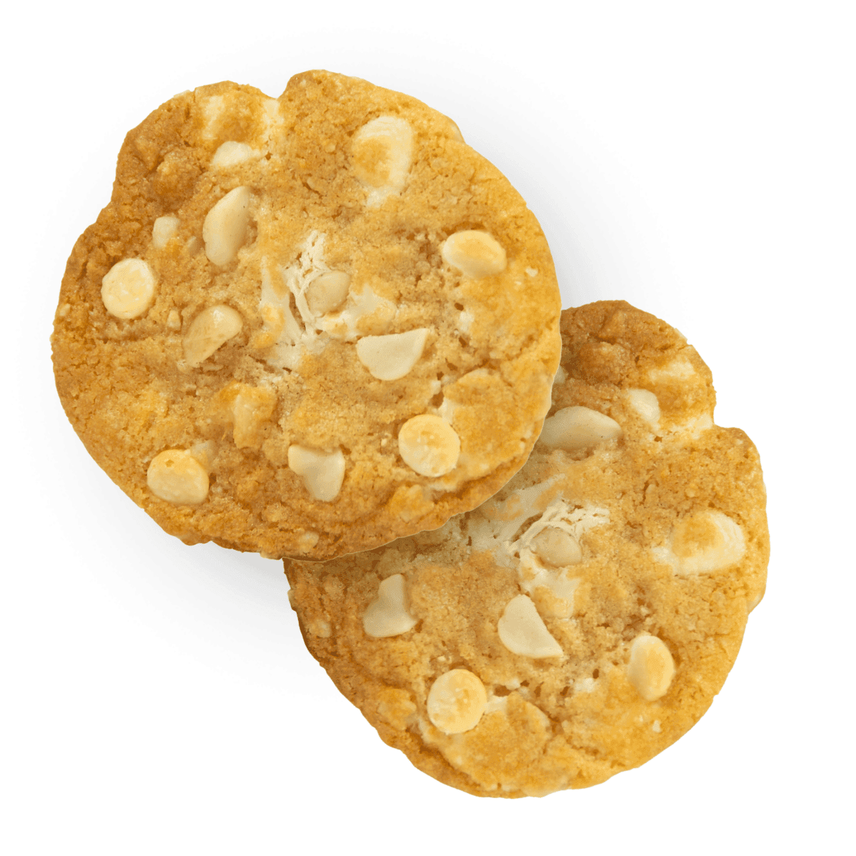 White Chocolate Macadamia